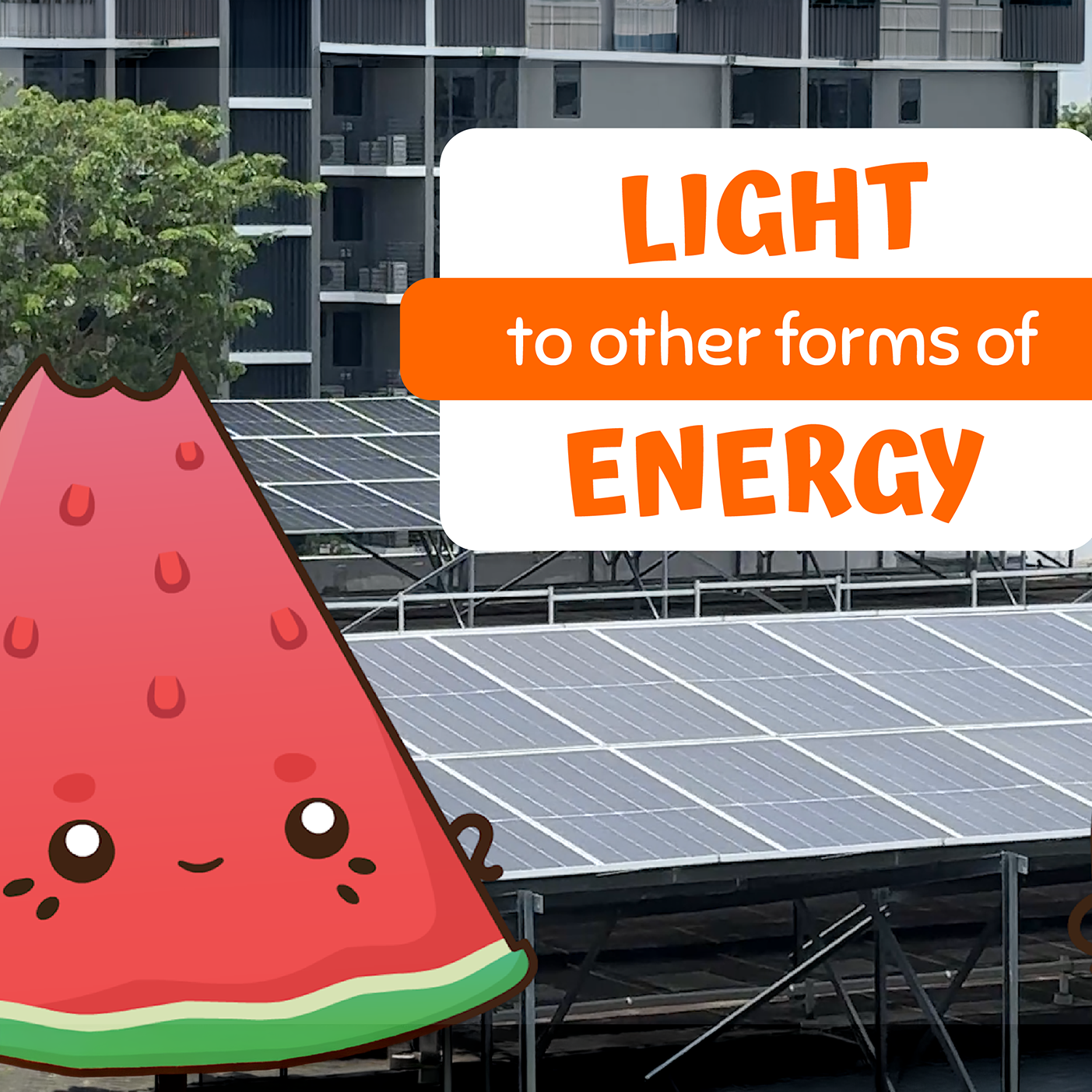 Thumbnail for "LIGHT to other forms of ENERGY" featuring Merry standing in front of a real-life rooftop solar panel array.